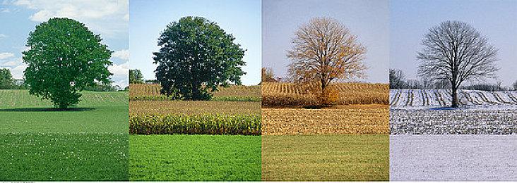 拯救昏迷女孩 恐怖解谜游戏《最末行程：胜利路19号》发售