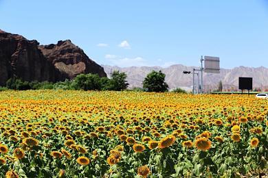 《最终幻想14》广州CICF圆满落幕：属于玩家们的秋日狂欢